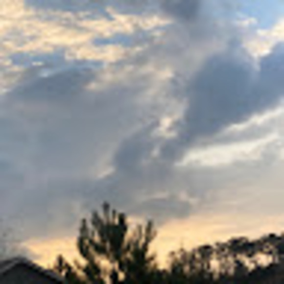 adalynns815
